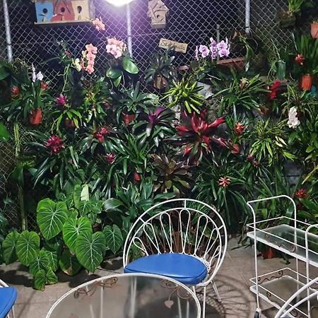 Villa San Antonio - El Valle De Anton Bagian luar foto