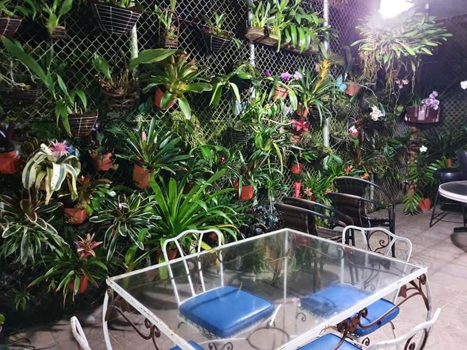 Villa San Antonio - El Valle De Anton Bagian luar foto